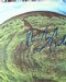 Signed Hergest Ridge Vinyl Cover (Front) (0) Comentarios