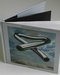 25th Anniversary Edition Tubular Bells CD (Front) (0) Comentarios